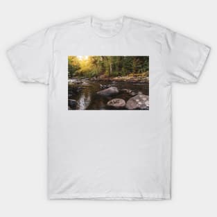 Glowing Sunshine on Creek and Autumn Forest T-Shirt